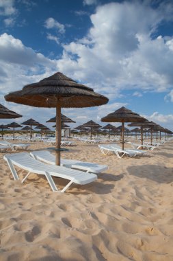 farklı şemsiye ve şezlonglar tavira haritasında boş sahilde