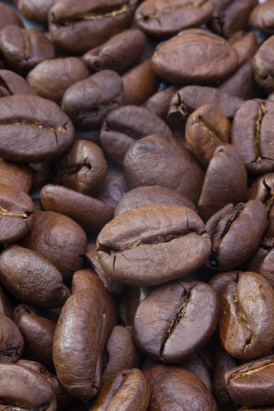 Detalhe de grãos de café — Fotografia de Stock