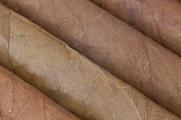 Detalj av lyx kubanska cigarrer i rutan — Stockfoto
