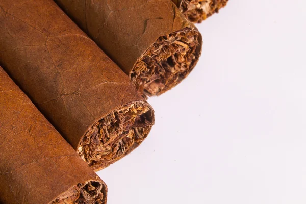Detail van luxe Cubaanse sigaren — Stockfoto