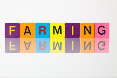 Tarım - çocuk bloklar bir yazıt