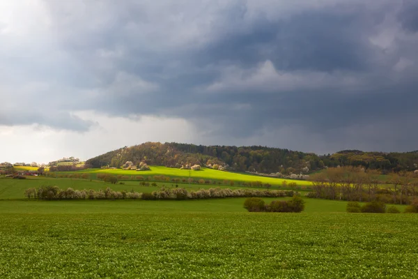 Kwitnące wiosną krajobraz przed burzą — Zdjęcie stockowe