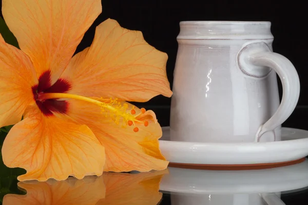 Oranje hibiscus bloem en kopje koffie — Stockfoto