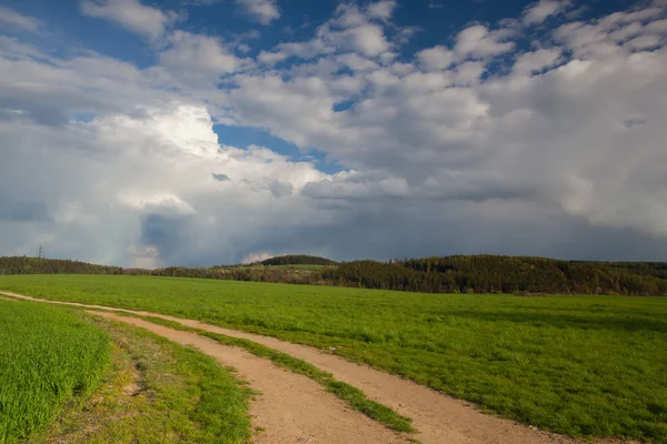 Strada sterrata tra campi nel paesaggio primaverile — Foto Stock