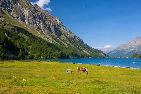 Sjön Sils - sjön i Schweiz. — Stockfoto