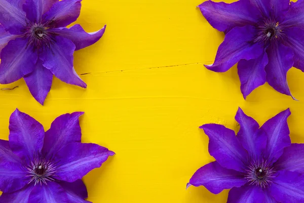 Cuatro clematis púrpura aislados en mesa de madera — Foto de Stock