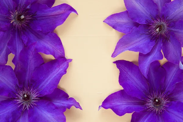 Vier paars clematis geïsoleerd op houten tafel — Stockfoto