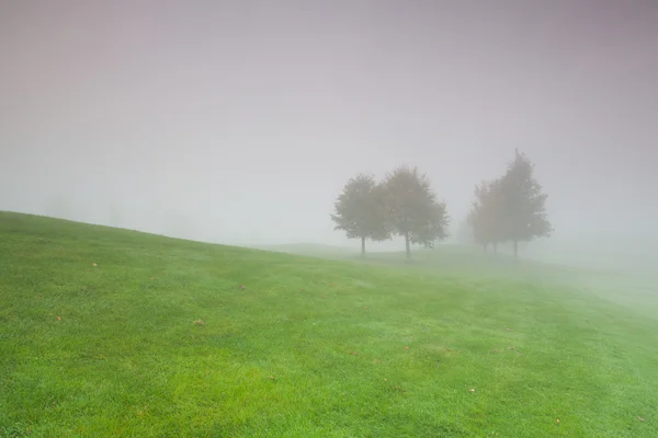 Sabah sis içinde golf sahasında — Stok fotoğraf