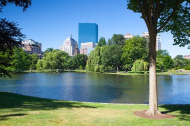 Boston'da kamu bahçe