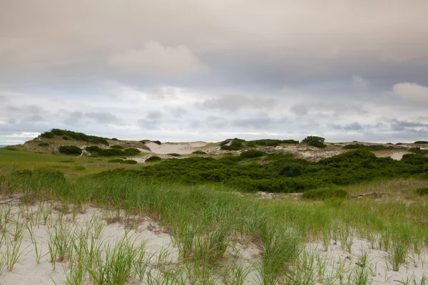 Пляж песчаных дюн на Национальном побережье Кейп-Код на Атланте — стоковое фото