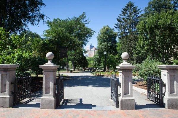 Boston, Massachusetts, Usa - juli 2,2016: The offentliga trädgård founde — Stockfoto