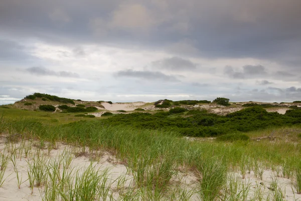 Пляж песчаных дюн на Национальном побережье Кейп-Код на Атланте — стоковое фото