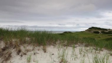 Kum tepeleri beach Atlantik Okyanusu üzerinde Cape Cod Milli Seashore