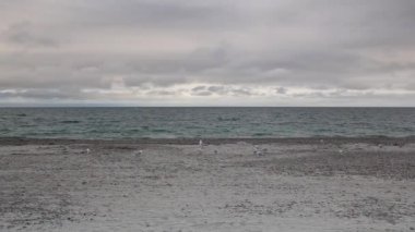 Cape Cod Sandy boyun sahilde