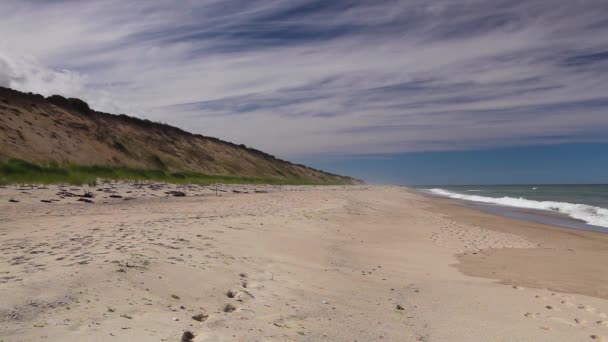 Cape Cod Sandy Beach de pescoço — Vídeo de Stock