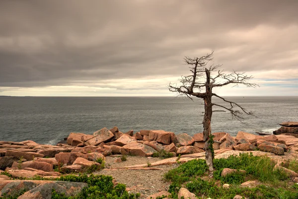 Pôr do sol no Parque Nacional de Acadia - Imagem HDR — Fotografia de Stock