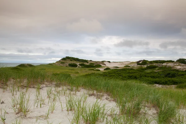 Παραλία Αμμόλοφοι για το Cape Cod Εθνική παραλία για το Atlant — Φωτογραφία Αρχείου