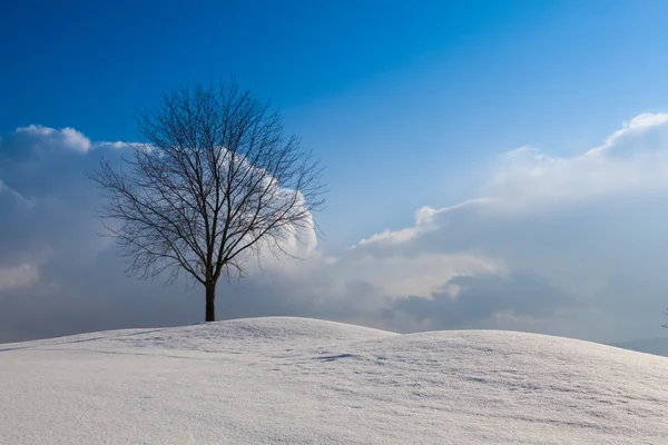 Paisagem de inverno sob céu azul — Fotografia de Stock