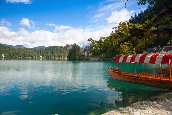 Boote am Pier der ausgebluteten Insel, Slowenien. — Stockfoto