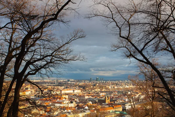 Widok Petrin Park Pragę Zachodzie Słońca Czechy Panoramiczny Widok Histrialne — Zdjęcie stockowe
