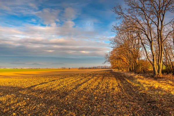 Herbstliche Morgenlandschaft Über Der Stadt Louny Der Herbst Pflügte Das — Stockfoto