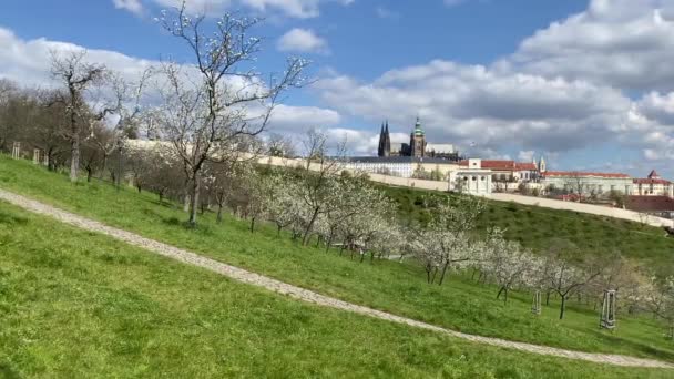 Mycket Populär Petrin Offentlig Park Med Utsikt Över Prags Slott — Stockvideo