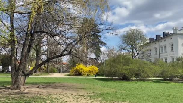 Praga República Checa Abril 2021 Parque Kampa Muy Popular Museo — Vídeo de stock