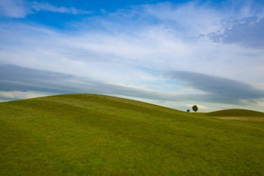 Akşam saatlerinde golf sahasının ayrıntıları.