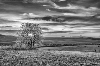 Çek Cumhuriyeti 'nin Merkez Bohem Tepeleri' ndeki Çimen Tepelerinde. Siyah ve Beyaz Fotoğrafçılık.