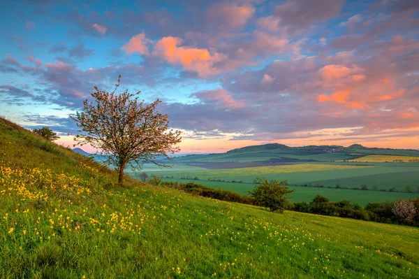チェコ共和国の中央ボヘミア高地での驚くべき日の出 中央ボヘミア高地 チェコ語 Ceske Stredohori 北ボヘミアの保護地域である — ストック写真