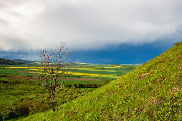 在波希米亚中部高地的雨后 捷克共和国 中波希米亚高地 Ceske Stredohori 是北波希米亚的一个受保护的风景区 — 图库照片