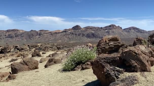 Pemandangan Taman Nasional Teide Berada Tenerife Pulau Terbesar Kepulauan Canary — Stok Video