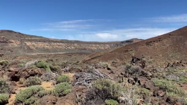 Krajina Národním Parku Teide Tenerife Největším Španělských Kanárských Ostrovů Pojmenován — Stock video