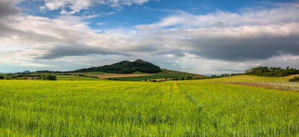 捷克共和国波希米亚中部高地的夏季风景 全景图像 — 图库照片