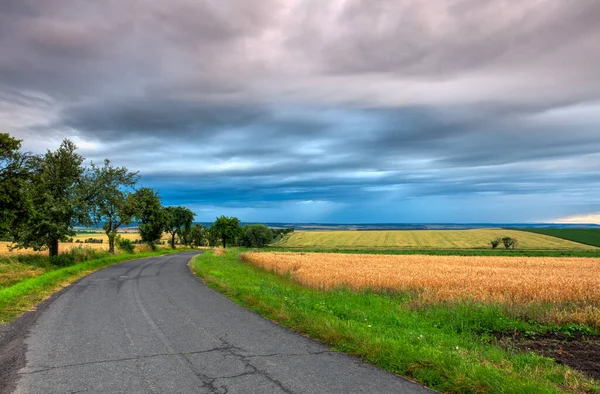 Campo Orzo Tramonto Stupefacente Prima Tempesta Pesante Nella Repubblica Ceca — Foto Stock