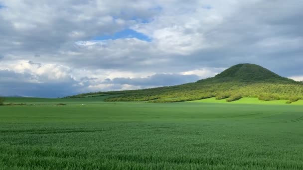 Oblik Hill Czechach Środkowych Jest Pasmo Górskie Położone Północnych Czechach — Wideo stockowe