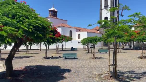 Santa Cruz Tenerife Tenerife Juni 2021 Kerk Van Onbevlekte Ontvangenis — Stockvideo
