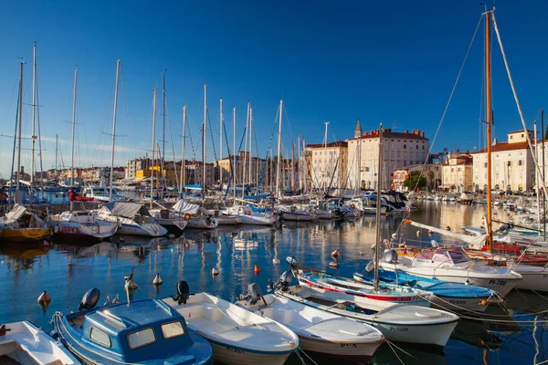 Piran Slowenien August 2016 Abend Yachthafen Von Piran Der Wunderschöne — Stockfoto