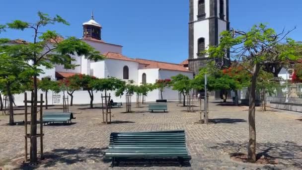 Santa Cruz Tenerife Tenerife Junho 2021 Igreja Imaculada Conceição Praça — Vídeo de Stock