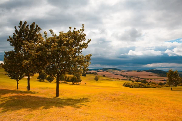 Empty golf course after rain — Stock Photo, Image