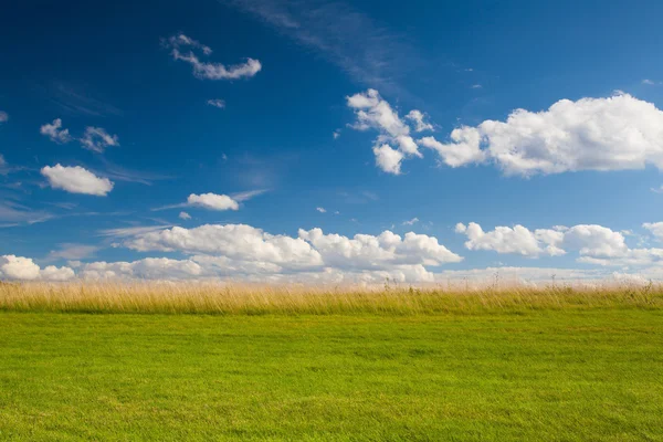 Detalle del campo de golf en día soleado — Foto de Stock