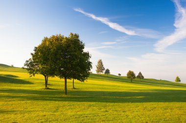 puslu sabah boş bir golf sahası