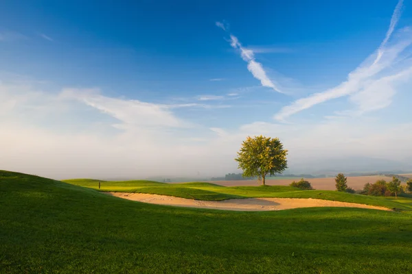 Туманное утро на пустом поле для гольфа — стоковое фото