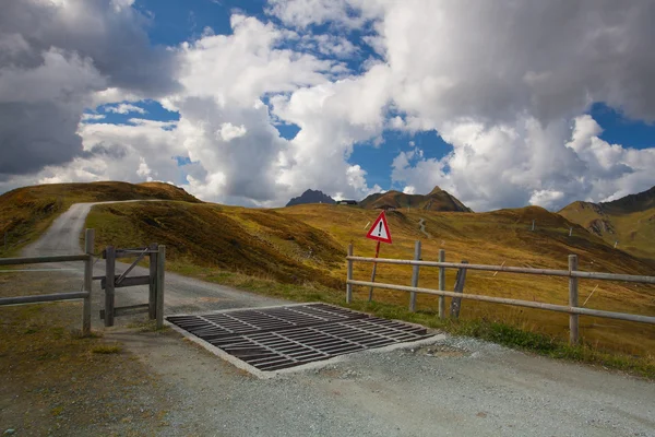 Guardia de ganado en las montañas del Tirol, Austria — Foto de Stock