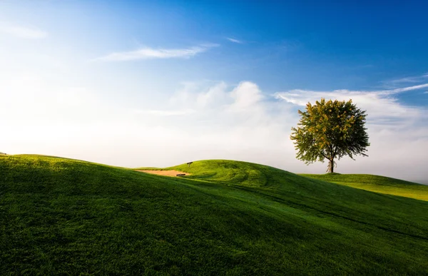 Mañana brumosa en un campo de golf vacío — Foto de Stock