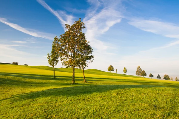 Nebliger Morgen auf einem leeren Golfplatz — Stockfoto