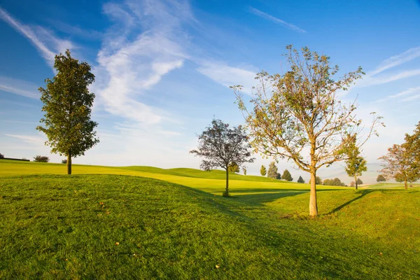 Misty morning on a empty golf course — Stock Photo, Image