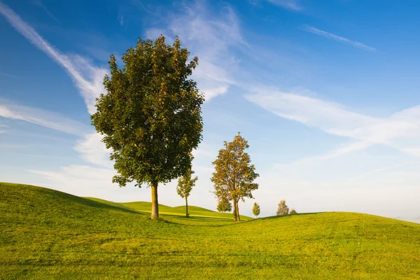 Mlhavé ráno na prázdné golfové hřiště — Stock fotografie