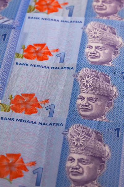 Ornamento dalla Malesia Banconote in Ringgit — Foto Stock