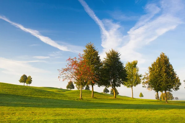 Mañana brumosa en un campo de golf vacío —  Fotos de Stock